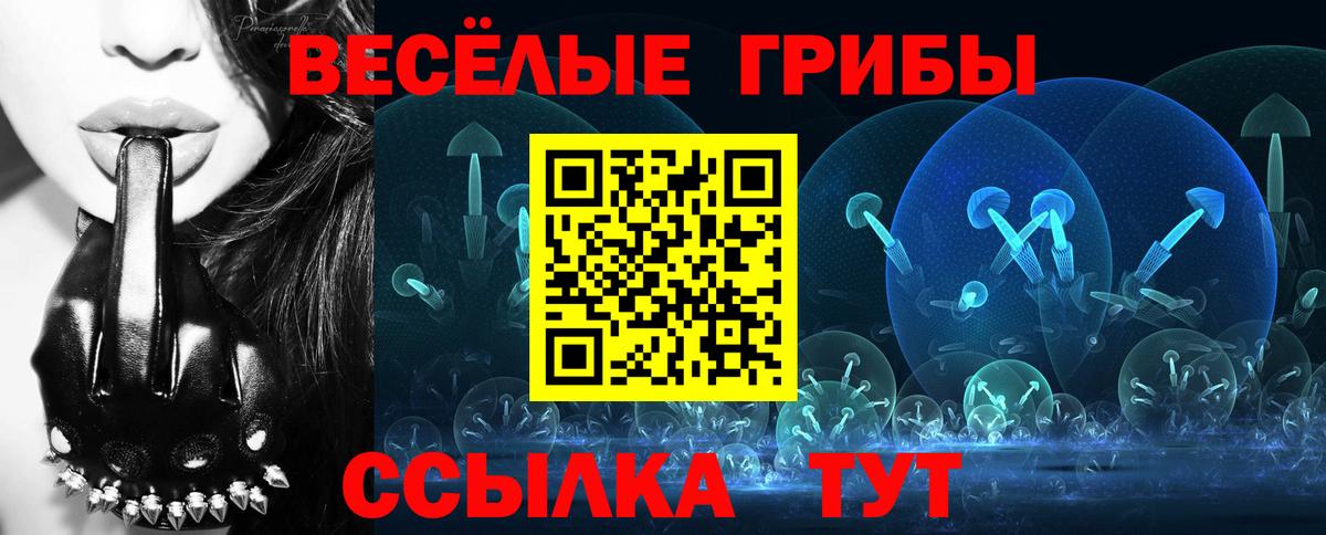 Лосино-Петровский  Псилоцибиновые грибы Psilocybine cubensis  Галлюциногенные грибы Cubensis  Вход с VPN 