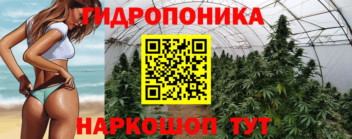 Бошки марихуана Bruce Banner Лосино-Петровский